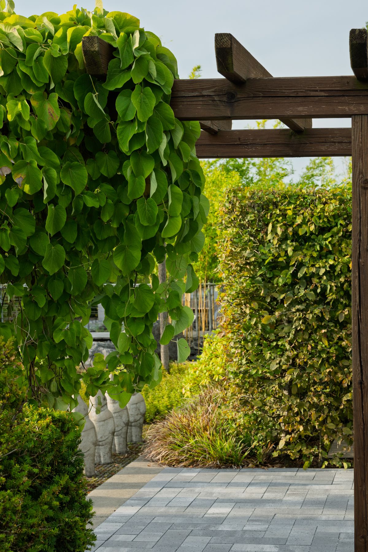 The hero photograph from Verge, a template for a landscape design and build