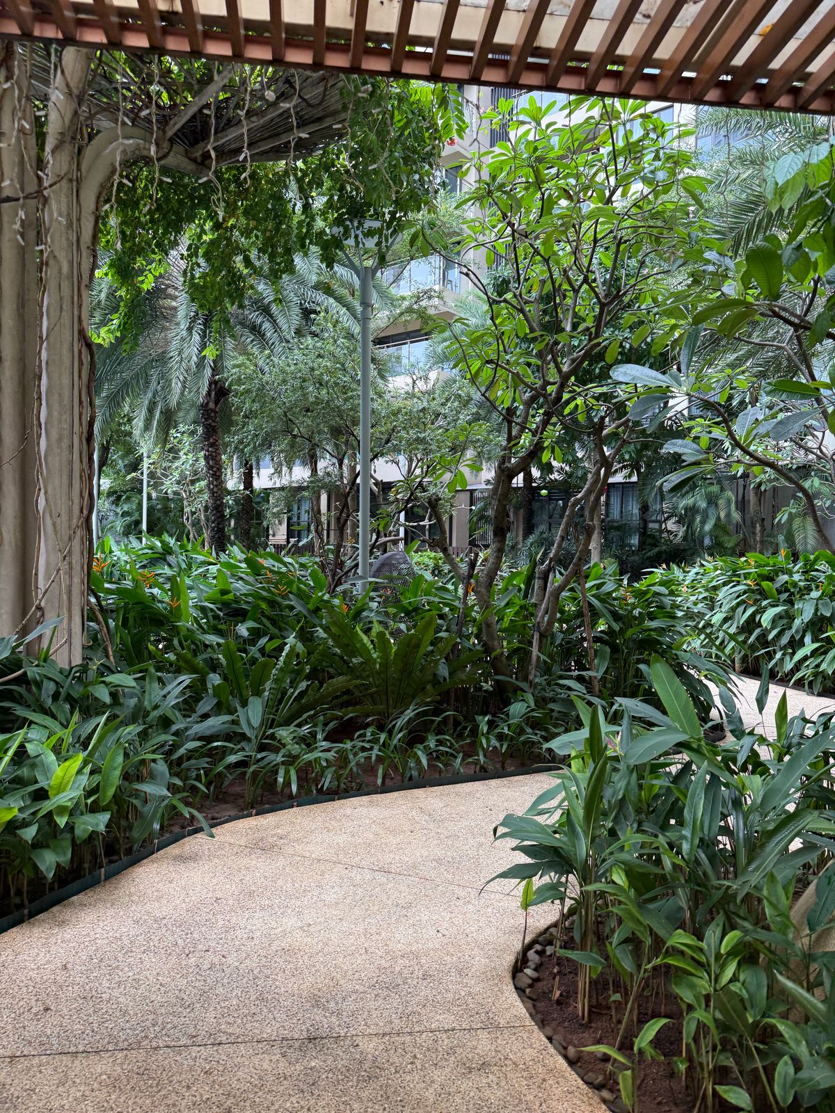 A densely planted courtyard garden with a timber pergola and a curving stone path.